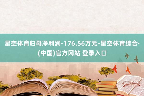 星空体育归母净利润-176.56万元-星空体育综合·(中国)官方网站 登录入口