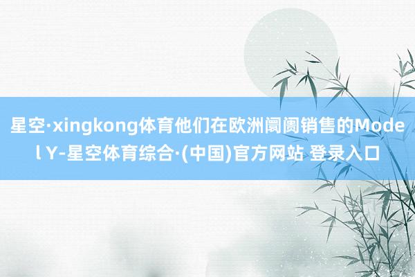 星空·xingkong体育他们在欧洲阛阓销售的Model Y-星空体育综合·(中国)官方网站 登录入口