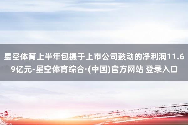 星空体育上半年包摄于上市公司鼓动的净利润11.69亿元-星空体育综合·(中国)官方网站 登录入口